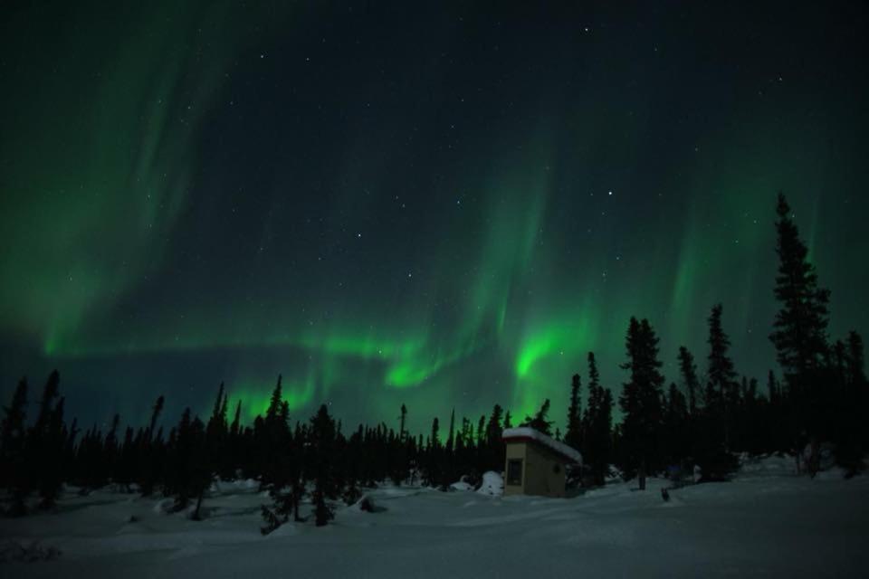 גלנאלן Lake Louise Lodge, Alaska מראה חיצוני תמונה