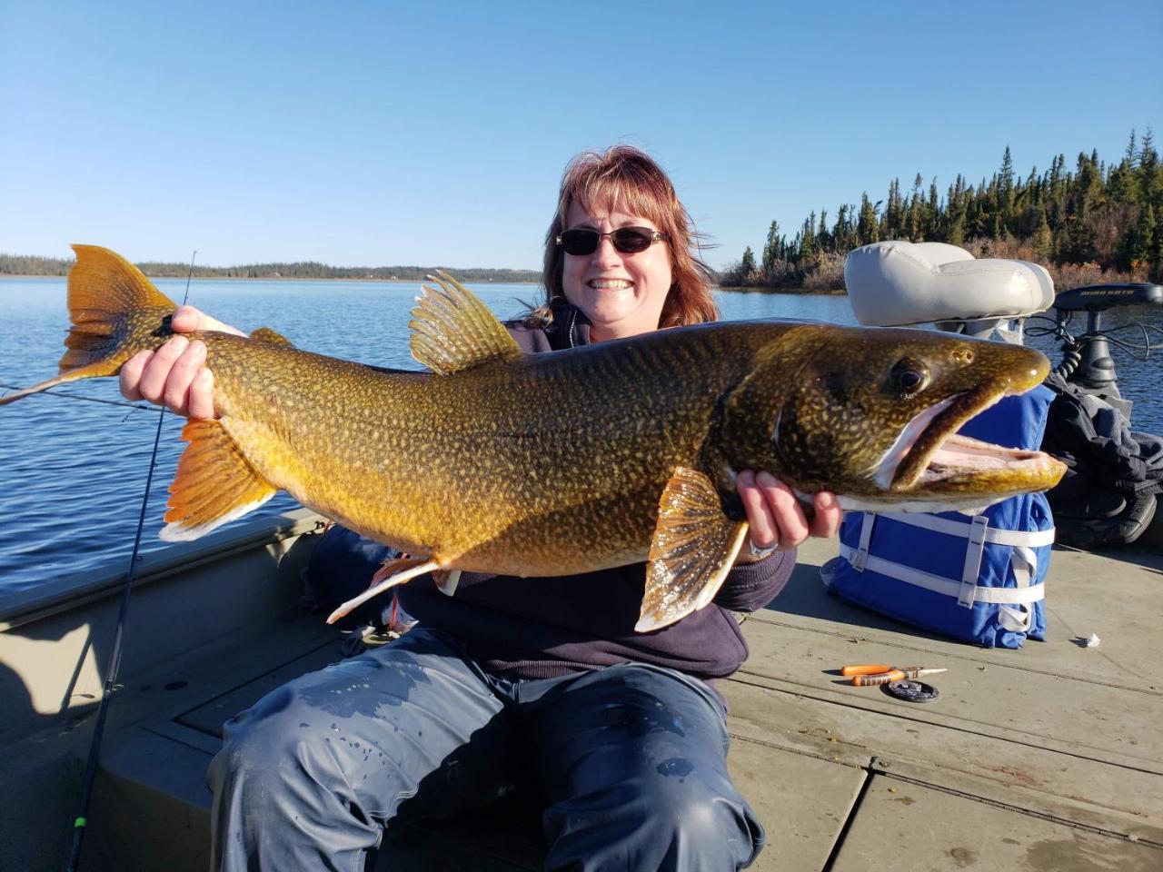 גלנאלן Lake Louise Lodge, Alaska מראה חיצוני תמונה